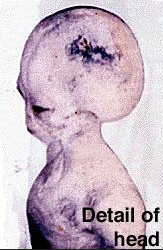 alien body